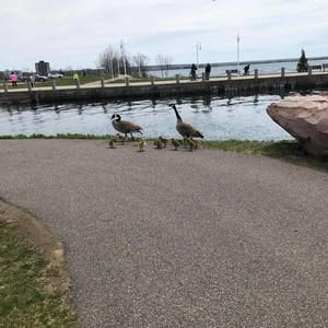 Meet your Posher, Connie